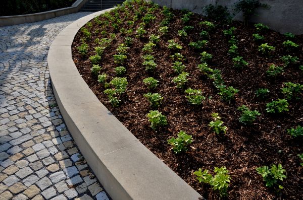 Commercial Mulching in Richardson