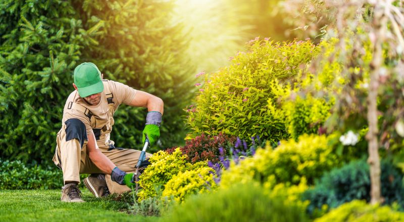 Garden Maintenance Service