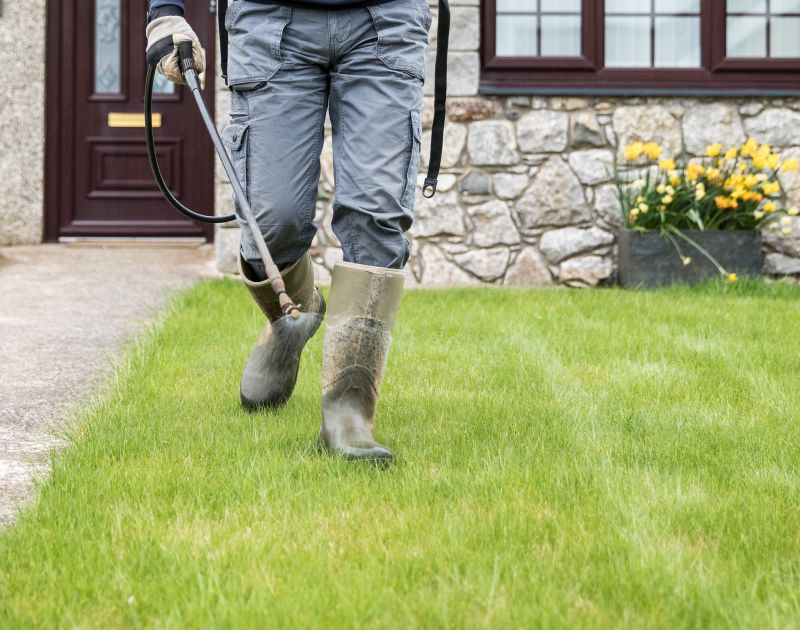 Landscaping Projects in Spring