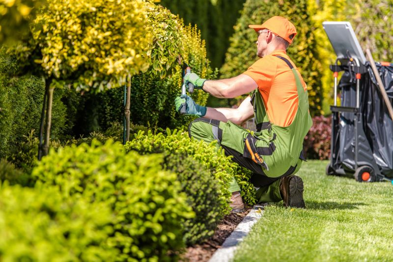 Tree and Shrub Care Providers