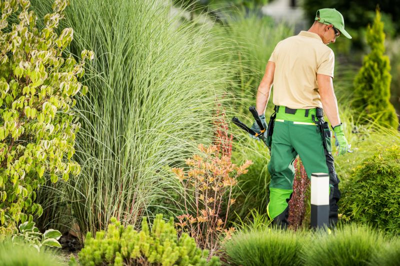 Choosing the Right Landscaping Professional